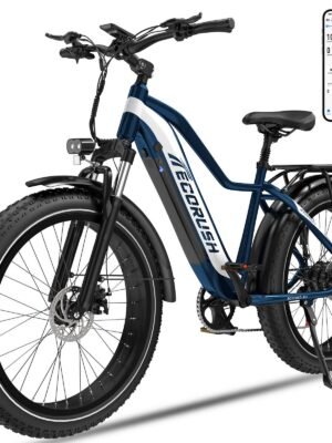 ECORUSH Herren E-Bike 26"×4,0 Zoll Fat Tire – 48V 20Ah, 250W, 150km Reichweite, LCD-Display, 7-Gang