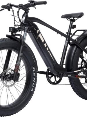26 Zoll Fat E-Bike 250W 70Nm – 48V 13,5Ah Austauschbarer Akku, 7-Gang, Hydraulische Ölbremsen, Schwarz