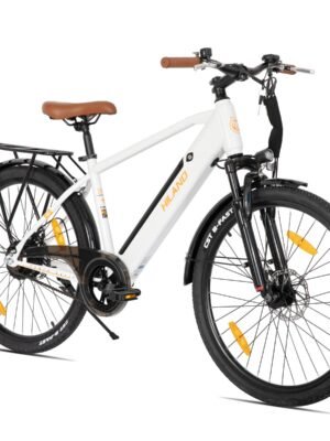 Hiland 26 Zoll E-Mountainbike 250W – 36V 7,8Ah, mit Licht, Gepäckträger, Stoßdämpfer, Damen Herren